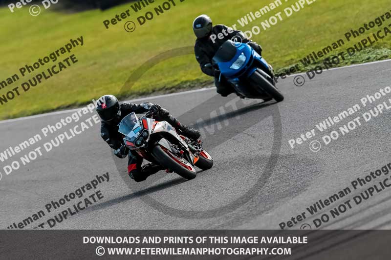 PJ Motorsport 2019;anglesey no limits trackday;anglesey photographs;anglesey trackday photographs;enduro digital images;event digital images;eventdigitalimages;no limits trackdays;peter wileman photography;racing digital images;trac mon;trackday digital images;trackday photos;ty croes